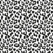 Cadeaupapier rollen 50 cm 200 meter leopard black