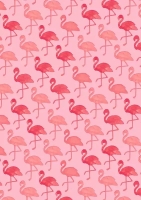 Cadeaupapier rollen 50 cm. Flamingo Pink
