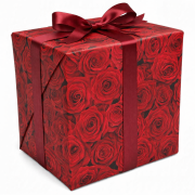 Cadeaupapier rol 30 cm 250 meter Roses 3303