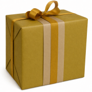 Cadeaupapier rollen 30 / 50 cm 250 meter 1903