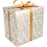 Cadeaupapier rollen 50 cm. Leafs Wit/Goud