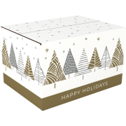 Kerstdozen Under the Stars C 390x290x232mm