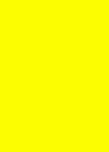 Fluor karton prijskaart 21 x 29 cm.  geel