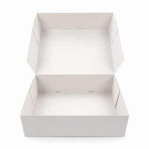 Vouwdozen 240 x 160 x 80 mm. Wit